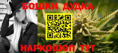 МДПВ Кингисепп