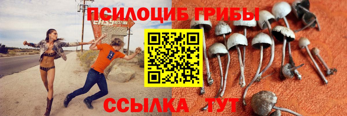 Галлюциногенные грибы прущие грибы  Вход с VPN  Кубинка 
