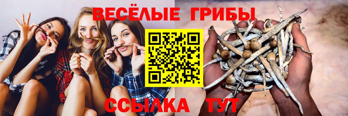 Галлюциногенные грибы Magic Shrooms Кубинка